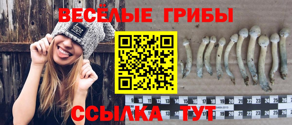 Галлюциногенные грибы Cubensis  Вход с VPN  дарнет шоп  Борисоглебск 